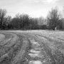Photo of Love Canal