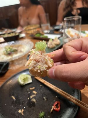 Novikov Miami by null