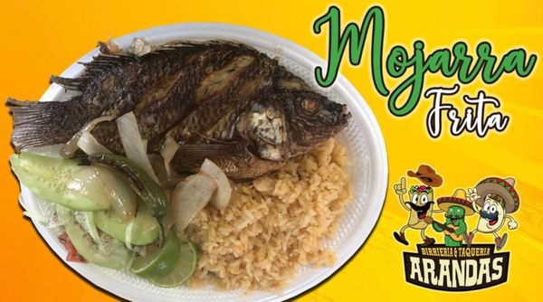 Zulema’s Taqueria by null