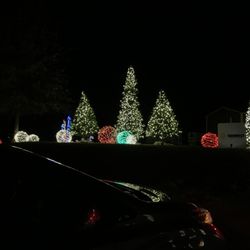 Festival of Lights - LIGHTS!