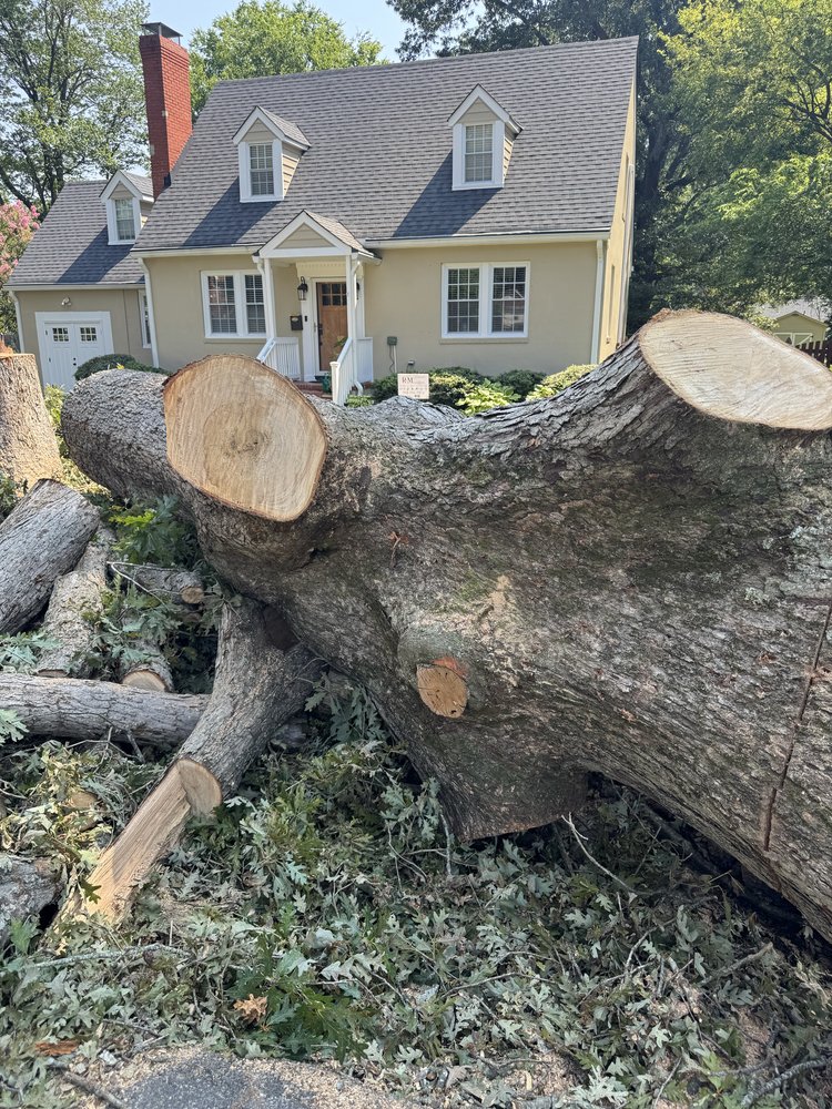 V & M Tree Services - tree service in Richmond, VA