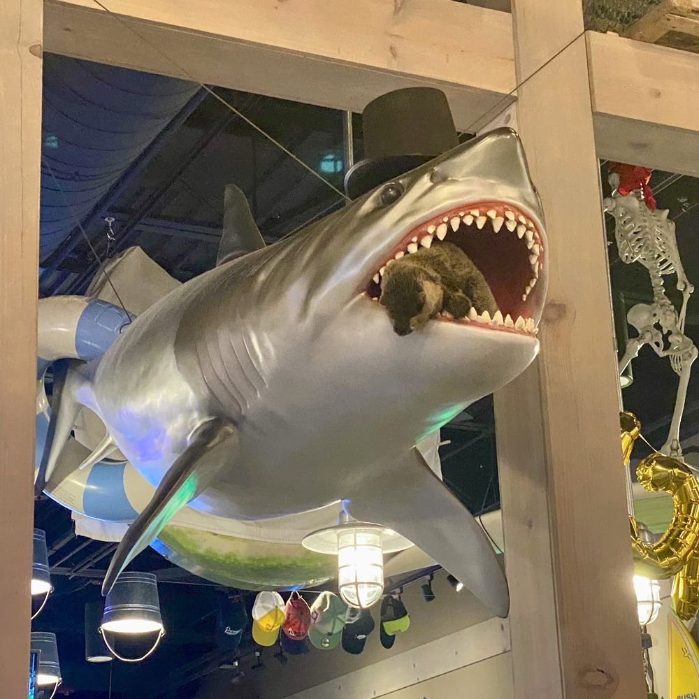 Shuckin' Shack Oyster Bar - Seafood Near Me - Naperville, Illinois Shuckin' Shack Oyster Bar - Seafood Near Me - Naperville, Illinois