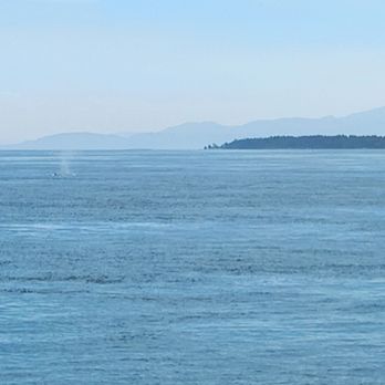 Outer Island Expeditions - Twin spouts - Fishing Near Me - Anacortes, Washington