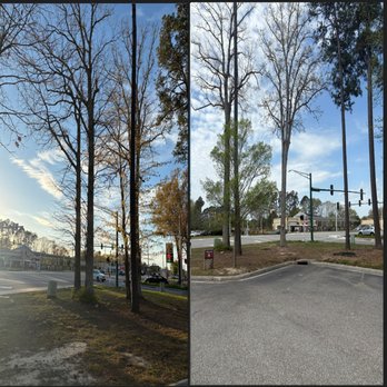 Razors Edge Lawn Care - Uplifting trees for better visibility to the store from the main road - Tree Services Near Me - Hampton, Virginia Razors Edge Lawn Care - Uplifting trees for better visibility to the store from the main road - Tree Services Near Me - Hampton, Virginia