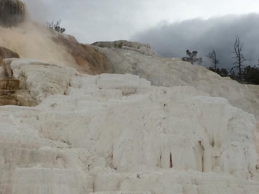 Mammoth Hot Springs by null