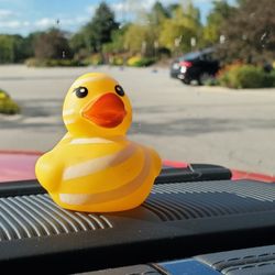Frederik Meijer Gardens & Sculpture Park - My Jeep Duck.