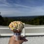 Bellvale Farms Creamery