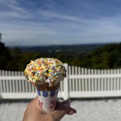 Bellvale Farms Creamery - Mint chip with rainbow sprinkles on sugar cone