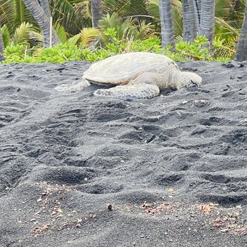 49 Black Sand Beach - Beaches Near Me - Kamuela, Hawaii