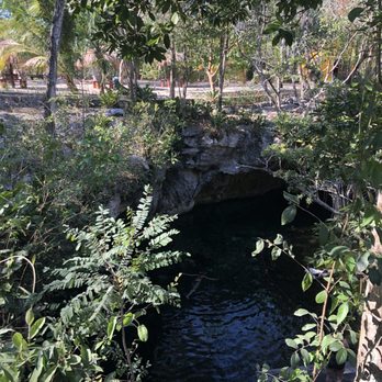 Gran Cenote - View from the top. - Lakes Near Me