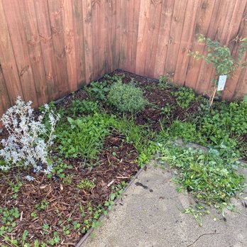 John’s Yard Clean-Up Service - Landscaping Near Me