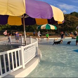 Shrewsbury Pool