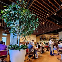 Il Pastaio di Eataly - A portion of the dining area where we sat