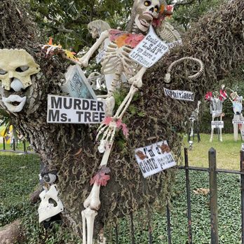 The Skeleton House - Witty in the city for Halloween. - Local Flavor Near Me - New Orleans, Louisiana The Skeleton House - Witty in the city for Halloween. - Local Flavor Near Me - New Orleans, Louisiana