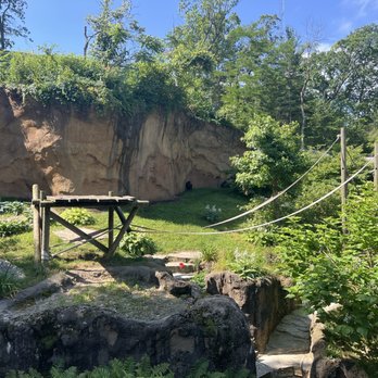 John Ball Zoo - Zoos Near Me - Grand Rapids, Michigan John Ball Zoo - Zoos Near Me - Grand Rapids, Michigan
