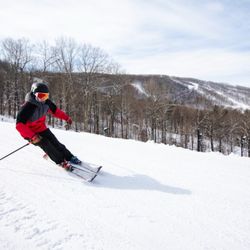 Catamount Mountain Ski Resort