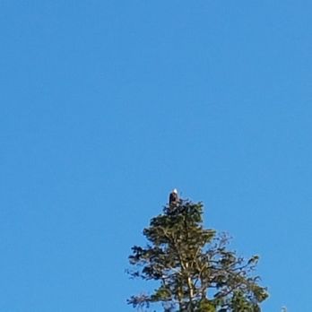 Deception Pass State Park - Community Service/Non-Profit Near Me - Oak Harbor, Washington