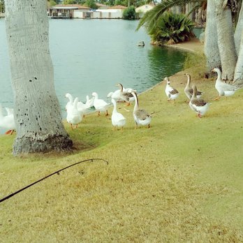 Encanto Park - Parks Near Me - Phoenix, Arizona Encanto Park - Parks Near Me - Phoenix, Arizona