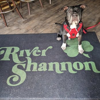 River Shannon - a dog sitting on a rug - Irish Pub Near Me - Chicago, Illinois