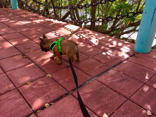 Pine Tree Park 4411 Pine Tree Dr Miami Beach Fl Parks Mapquest