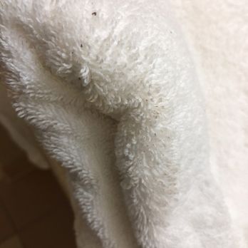 Fairfield by Marriott Inn & Suites Marion - Dirty towels - Hotels Near Me - Marion, Illinois