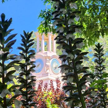 Filoli - Botanical Gardens Near Me - Woodside, California