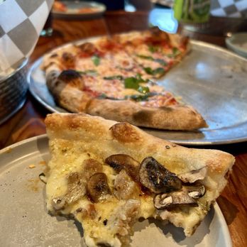 Gravity Taproom - This Pig's a Fungi - Beer Bar Near Me - Orlando, Florida Gravity Taproom - This Pig's a Fungi - Beer Bar Near Me - Orlando, Florida