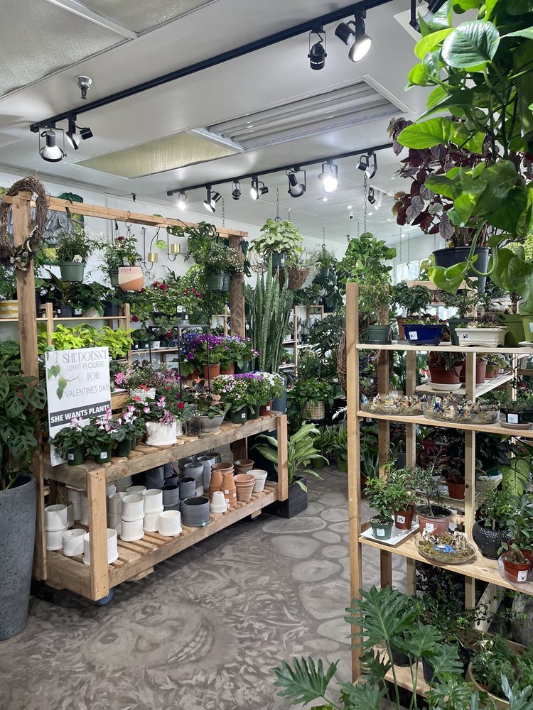 DENVER PLANT DELIVERY Updated October 2024 63 Photos & 18 Reviews