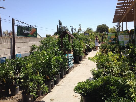 Armstrong Garden Centers by null