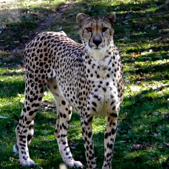 Montgomery Zoo - Zoos Near Me - Montgomery, Alabama
