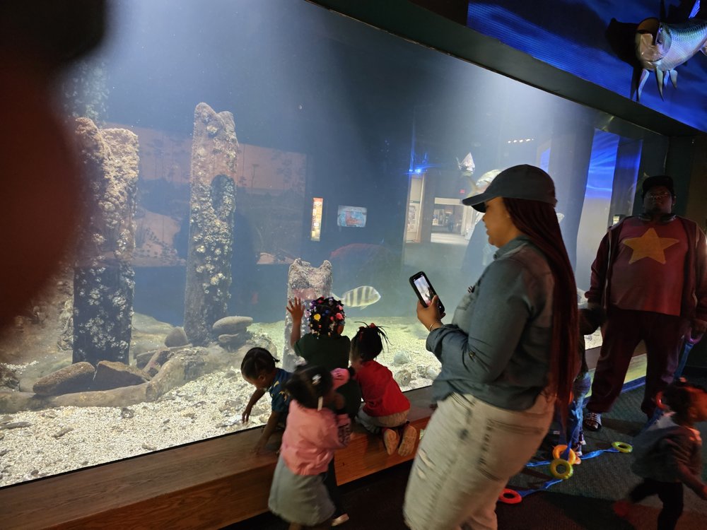 On-Point Wisdom Learning Academy - childcare center in Jackson, MS