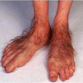 Big E’s - My toes that are about to curl from how fire this food was - Delis Near Me - Cottekill, New York Big E’s - My toes that are about to curl from how fire this food was - Delis Near Me - Cottekill, New York
