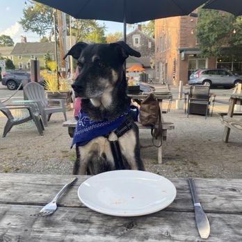 The Corner Pub - Dog friendly outdoor. - Sports Bars Near Me - Kittery, Maine