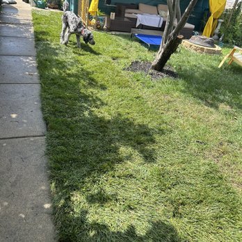 Unikstone Hardscape - Sod - Landscaping Near Me