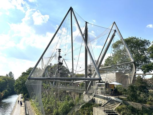 London Zoo by null