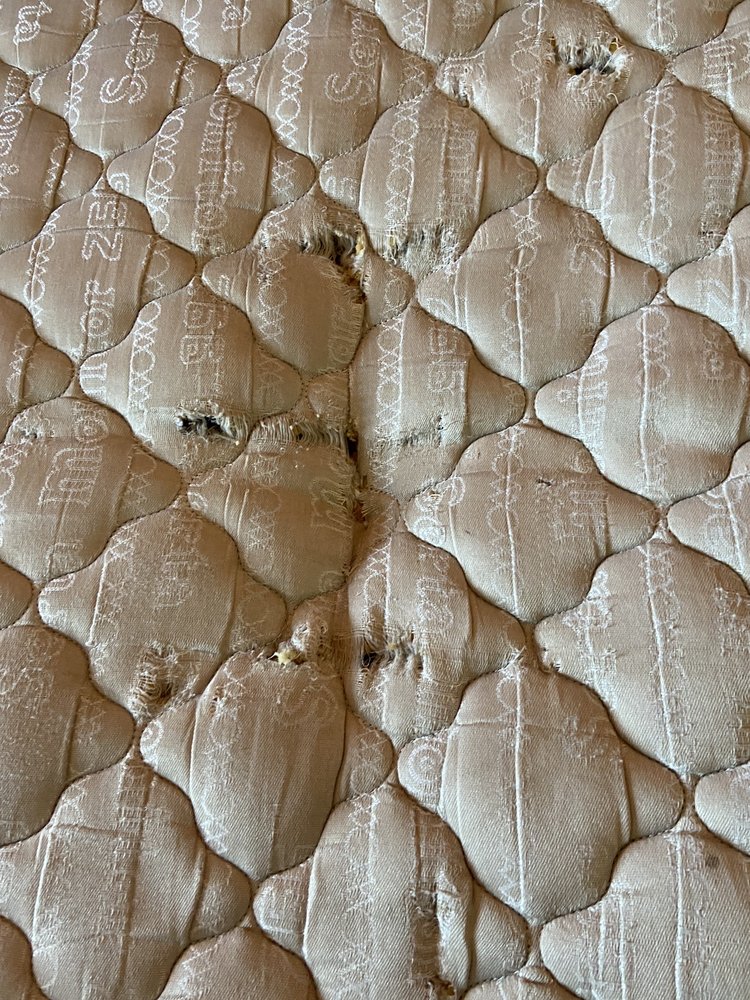 MOTEL 6 Updated October 2024 76 Photos & 33 Reviews 7115