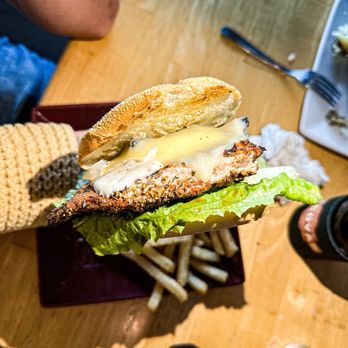 Tortuga's Island Grille - Jimmy Lew chicken sandwich - Southern Near Me - Thunderbolt, Georgia Tortuga's Island Grille - Jimmy Lew chicken sandwich - Southern Near Me - Thunderbolt, Georgia