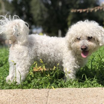 animal am emergency clinic