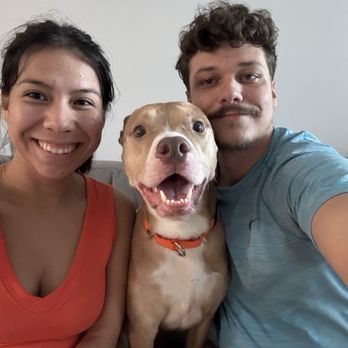 Dog Gone Holistic - Our new family addition Luna - Pet Stores Near Me - Riverview, Florida Dog Gone Holistic - Our new family addition Luna - Pet Stores Near Me - Riverview, Florida