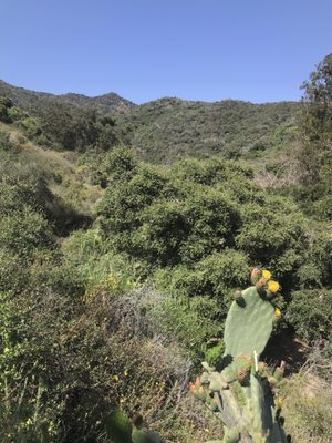 Temescal Gateway Park, Mountains Recreation & Conservation Authority by null