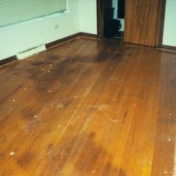 A -1 Ecklund Flooring - Before!