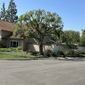 Reliable Tree Service - Proper lacing allows the Santa Ana winds to blow through without breaking branches and reduces fire hazard. - Tree Services Near Me - Yorba Linda, California Reliable Tree Service - Proper lacing allows the Santa Ana winds to blow through without breaking branches and reduces fire hazard. - Tree Services Near Me - Yorba Linda, California