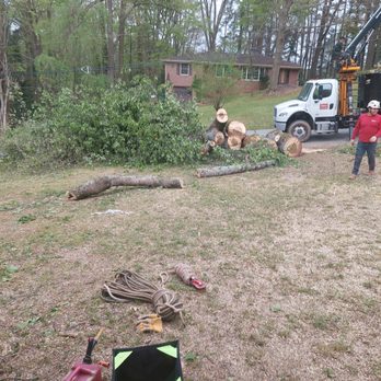Don's Tree Service - Tree Services Near Me - Atlanta, Georgia