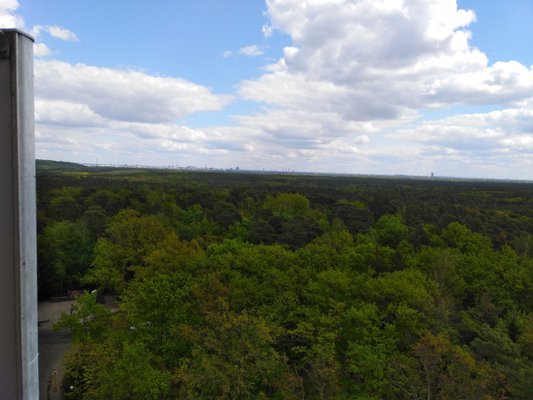Grunewald by null