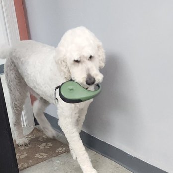 Tropic Paws - Pet Groomers Near Me - Bonita Springs, Florida Tropic Paws - Pet Groomers Near Me - Bonita Springs, Florida