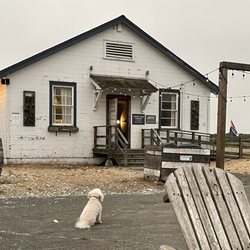 Humboldt Bay Social Club - Dog friendly...