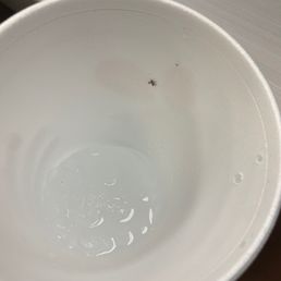 Didn't realize it was in there till I was almost finished with my drink. Didn't realize it was in there till I was almost finished with my drink.