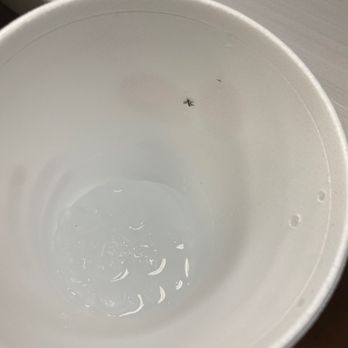 Chick-fil-A - Didn't realize it was in there till I was almost finished with my drink. - Fast Food Near Me - Jacksonville, Florida Chick-fil-A - Didn't realize it was in there till I was almost finished with my drink. - Fast Food Near Me - Jacksonville, Florida