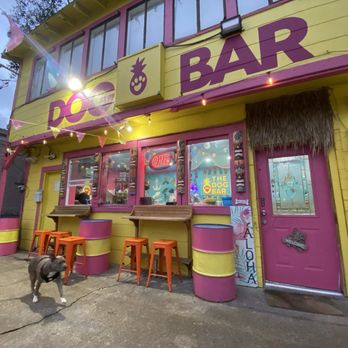 The Dog Bar - running around - Dog Parks Near Me - Houston, Texas The Dog Bar - running around - Dog Parks Near Me - Houston, Texas