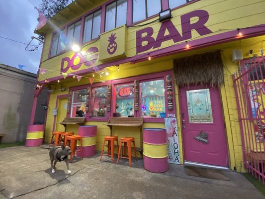 The Dog Bar by null